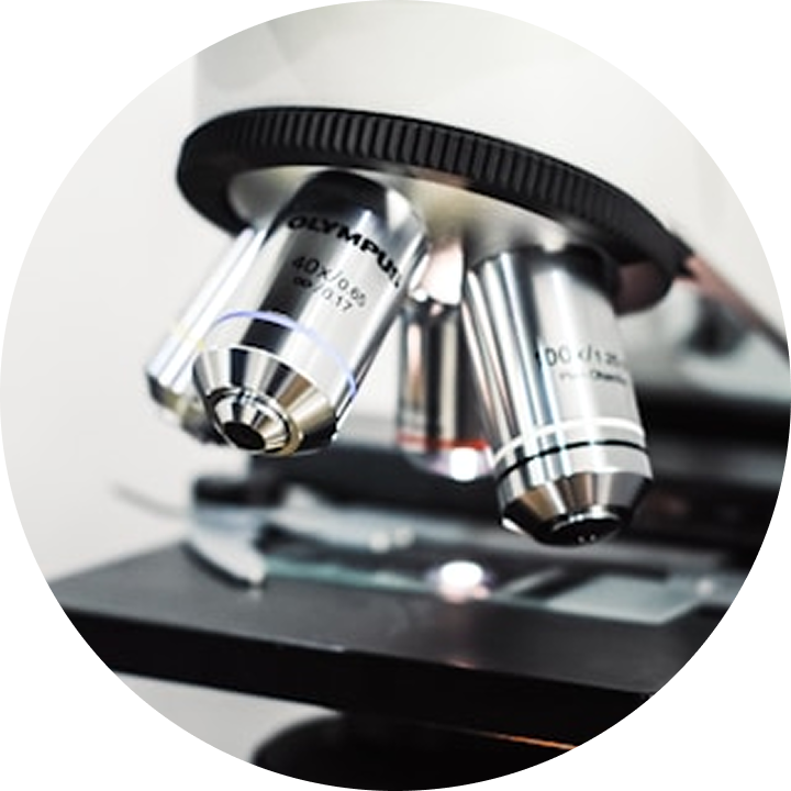 生き物のしくみ