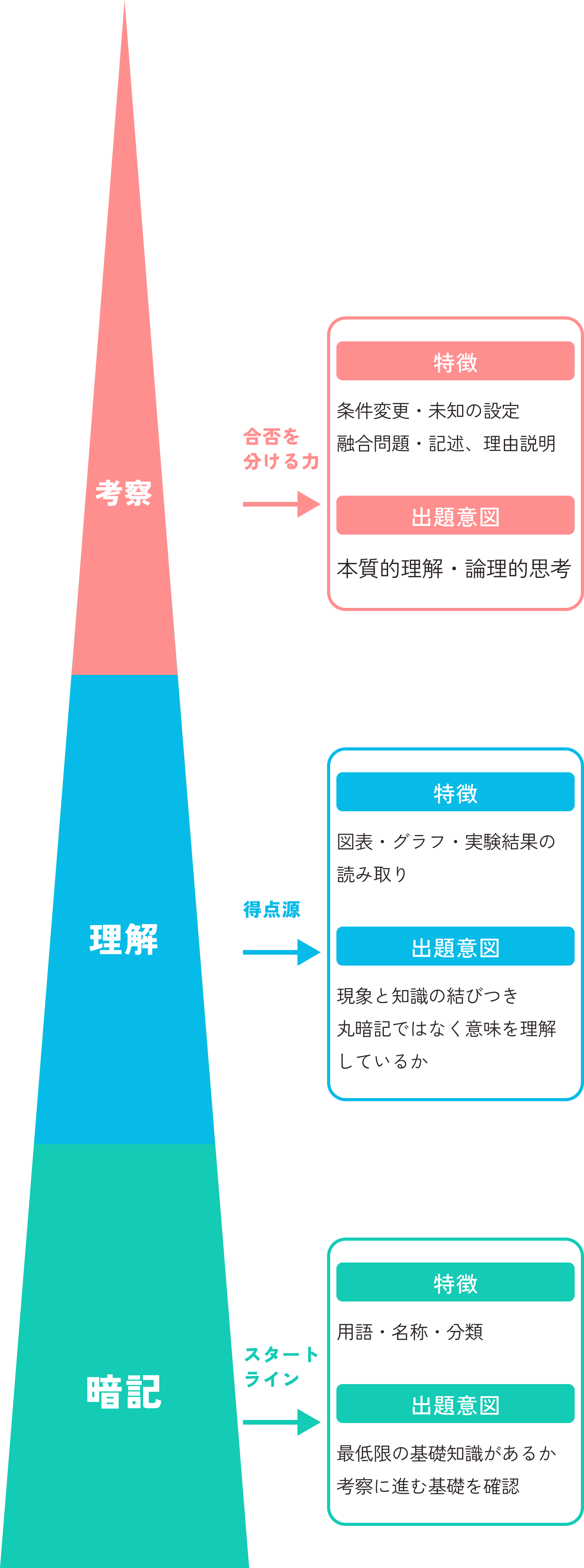 学習ピラミッド